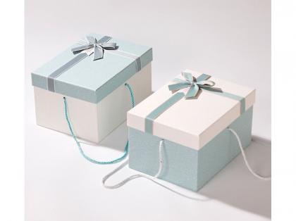 White Mint Green Fresh Style Hand-Held Box